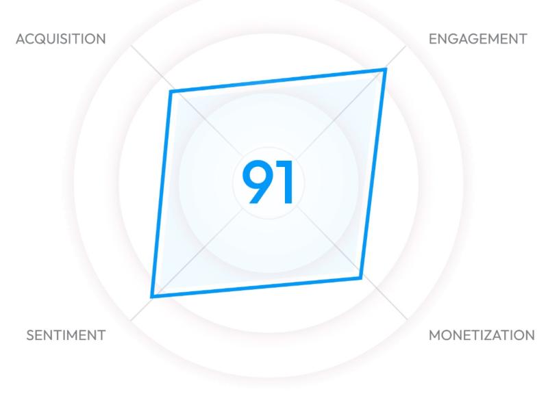 Mobile Performance Score radar chart showing score of 91